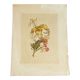 Planche botanique Lys jaune et oeillets du poète roses