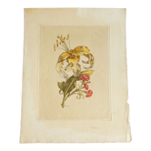 Planche botanique Lys jaune et oeillets du poète roses
