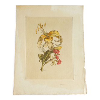 Old botanical plate Yellow lily and pink carnations of the poet