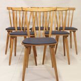 Set of 6 scandinavian vintage chairs 1960