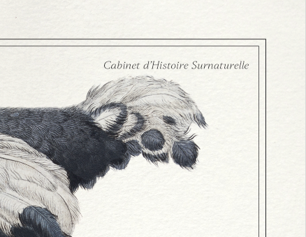 Set of 2 framed chimera lithography animal engraving