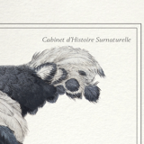 Set of 2 framed chimera lithography animal engraving