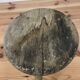 Tabouret berger tripode, bois