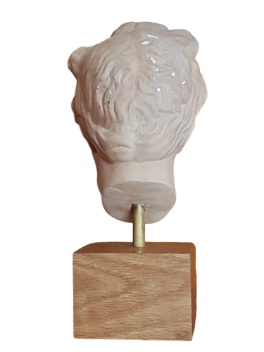 Head to the antique plaster