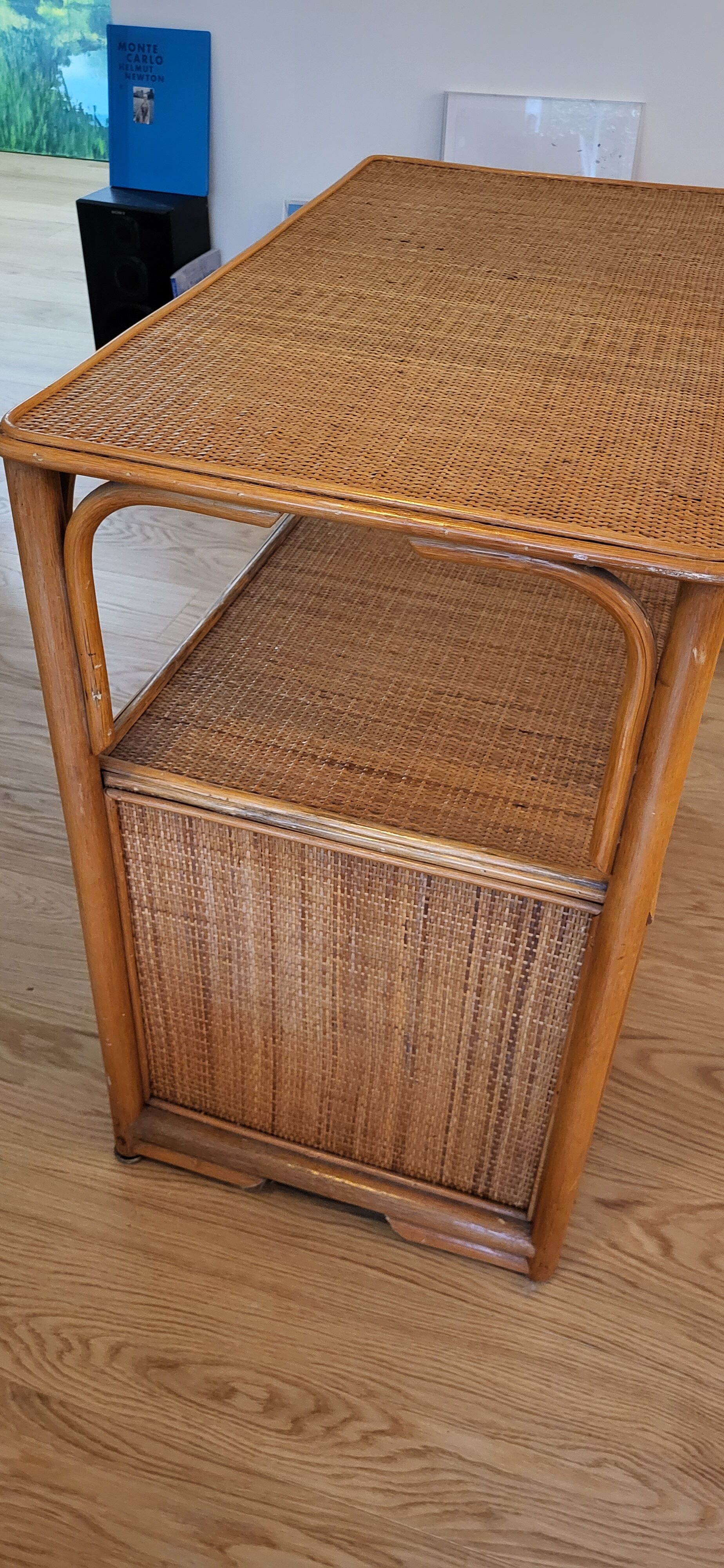 Rattan vinyl storage cabinet