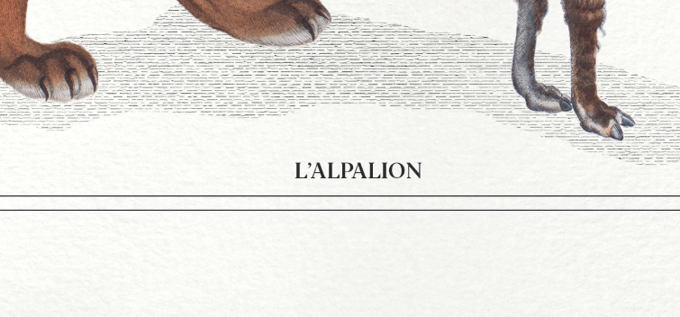 Chimera lithography animal engraving - the alpalion