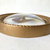 Naturalized butterfly oval bulging frame