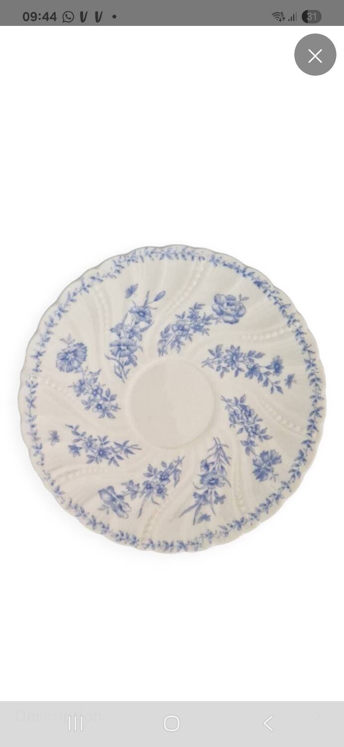 Sarreguemines porcelain cup and saucer