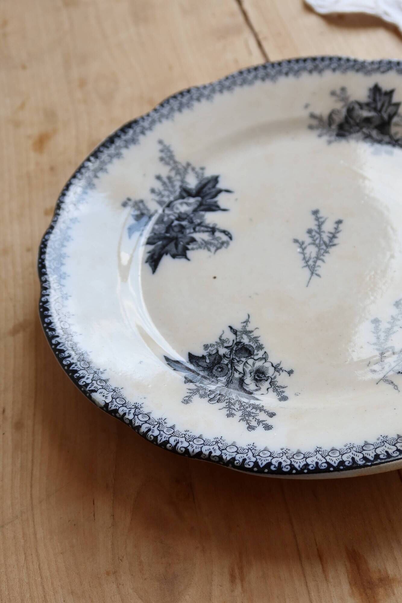 Flat plate iron earth Onnaing - Blue-black plant decoration on ivory background