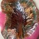Coupe feuille Vallauris