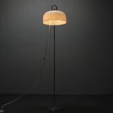 Mid-Century Floor Lamp Medusa by Luigi Massoni for Guzzini, 1970s, Italy