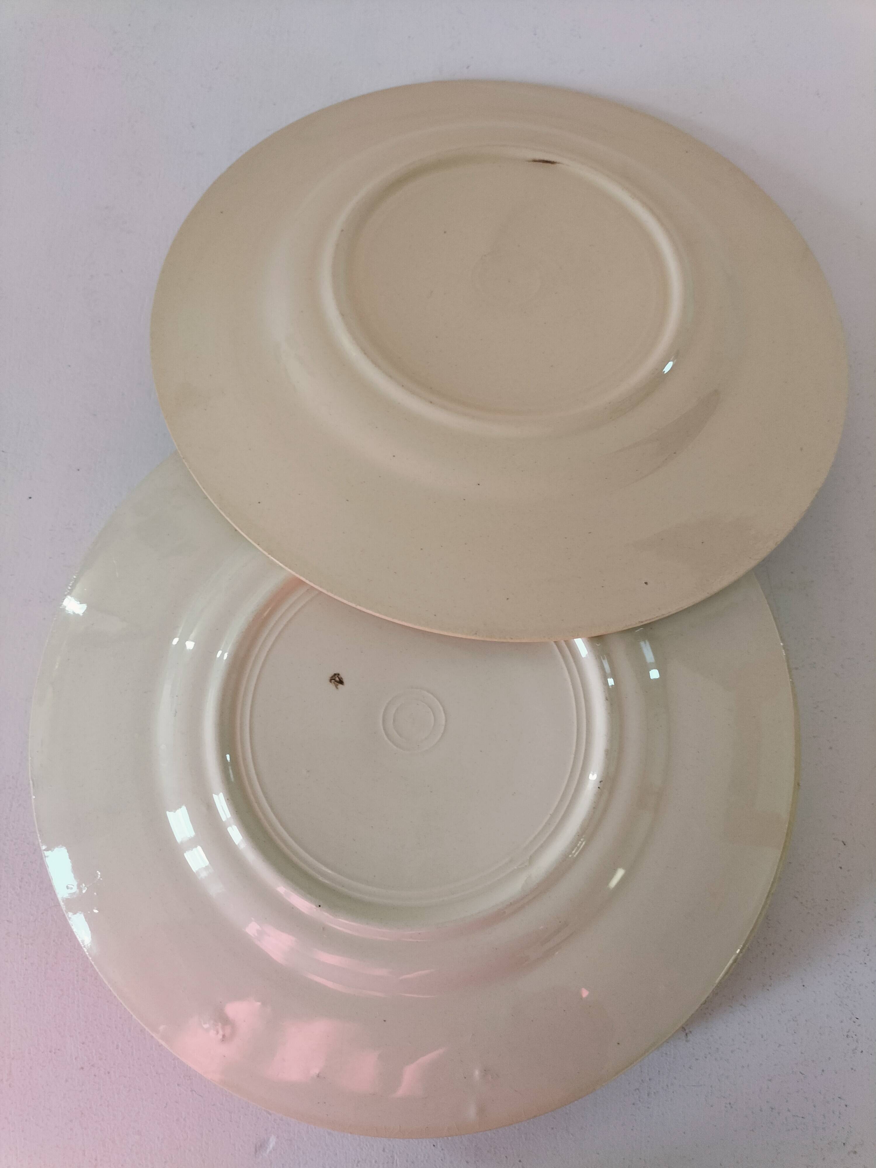 Set of 6 vintage orange and blue floral plates – 1950s