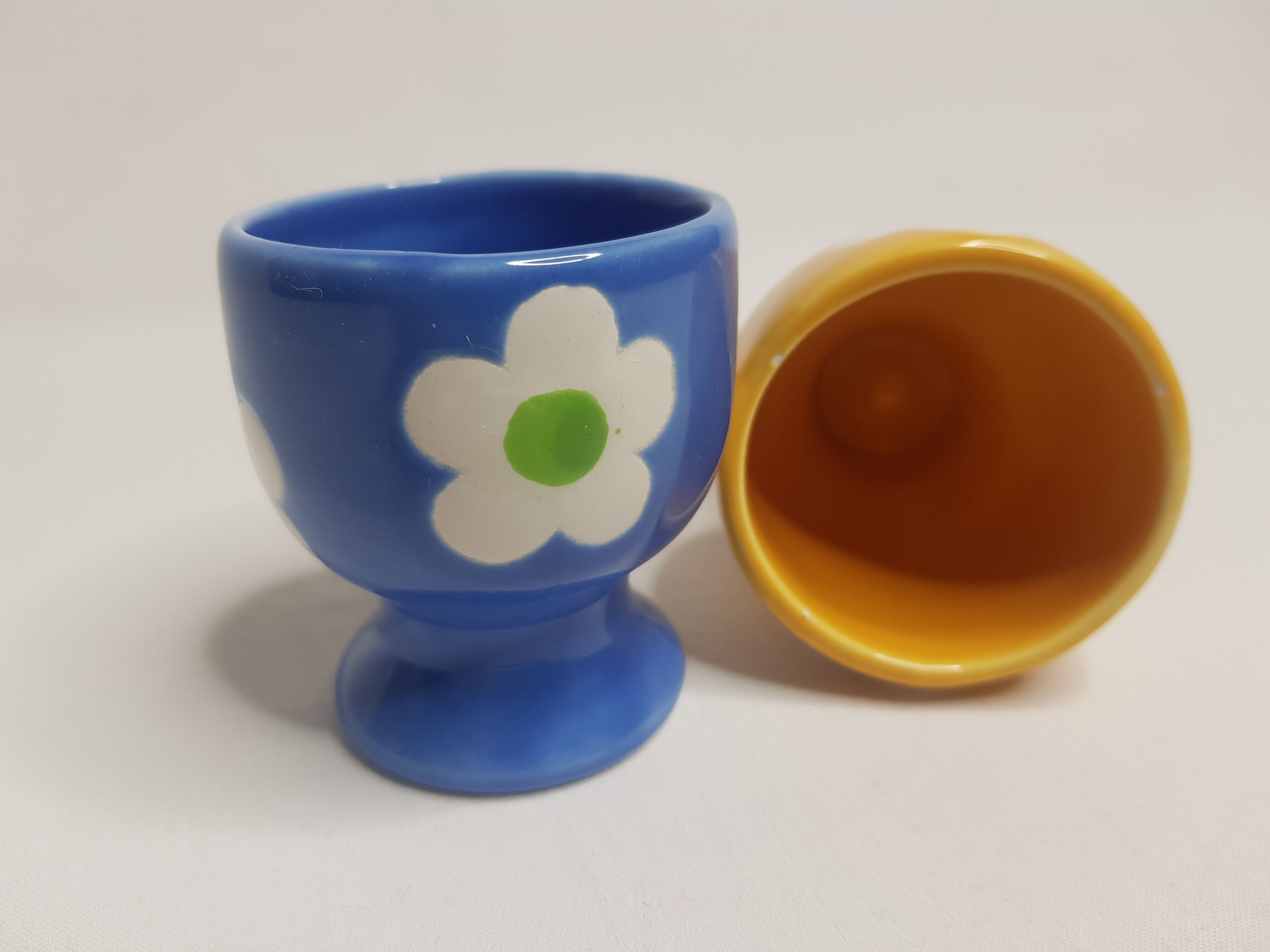 Pair of blue and yellow cockroaches with floral motifs