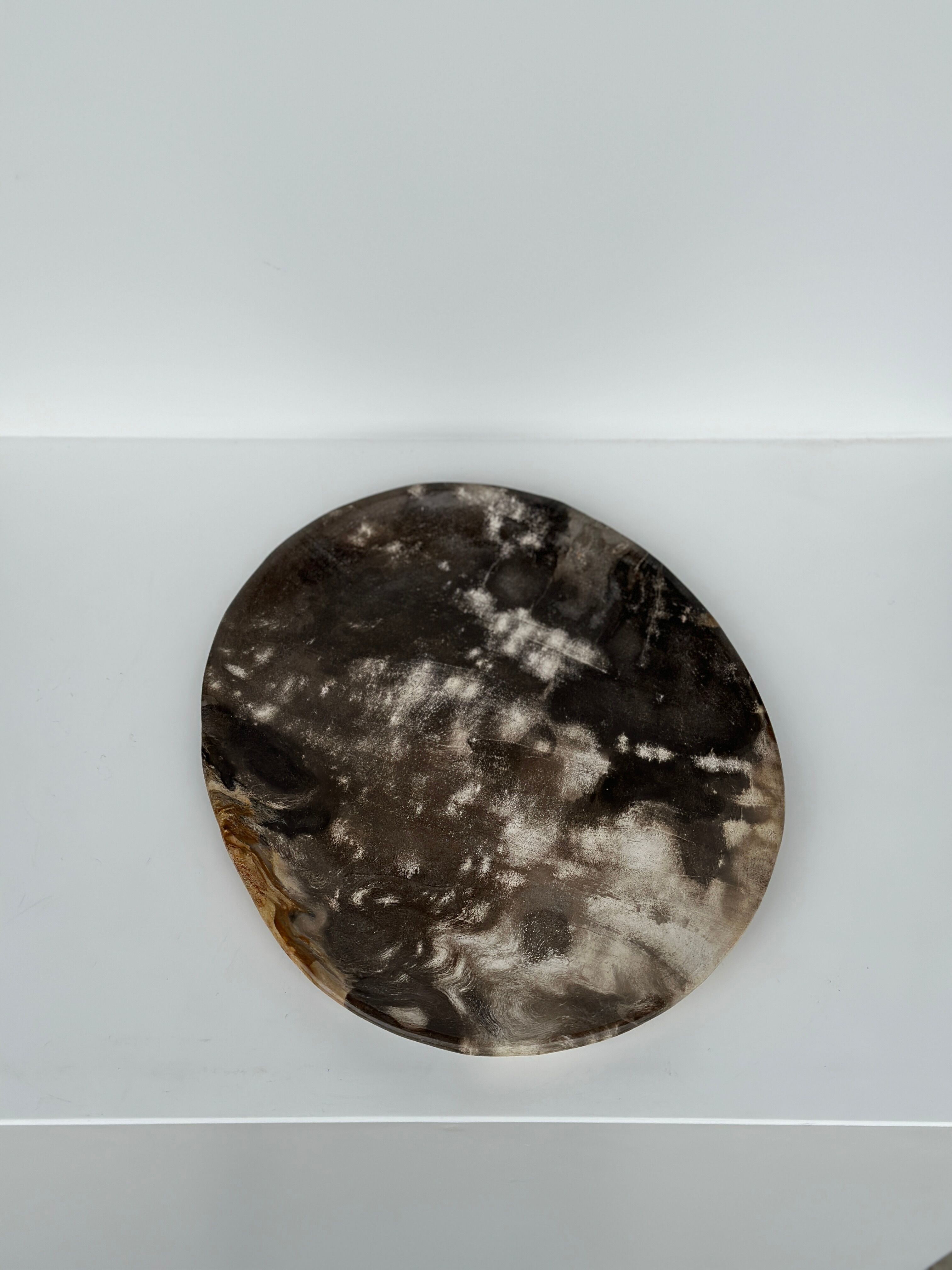 Dish in petrified wood