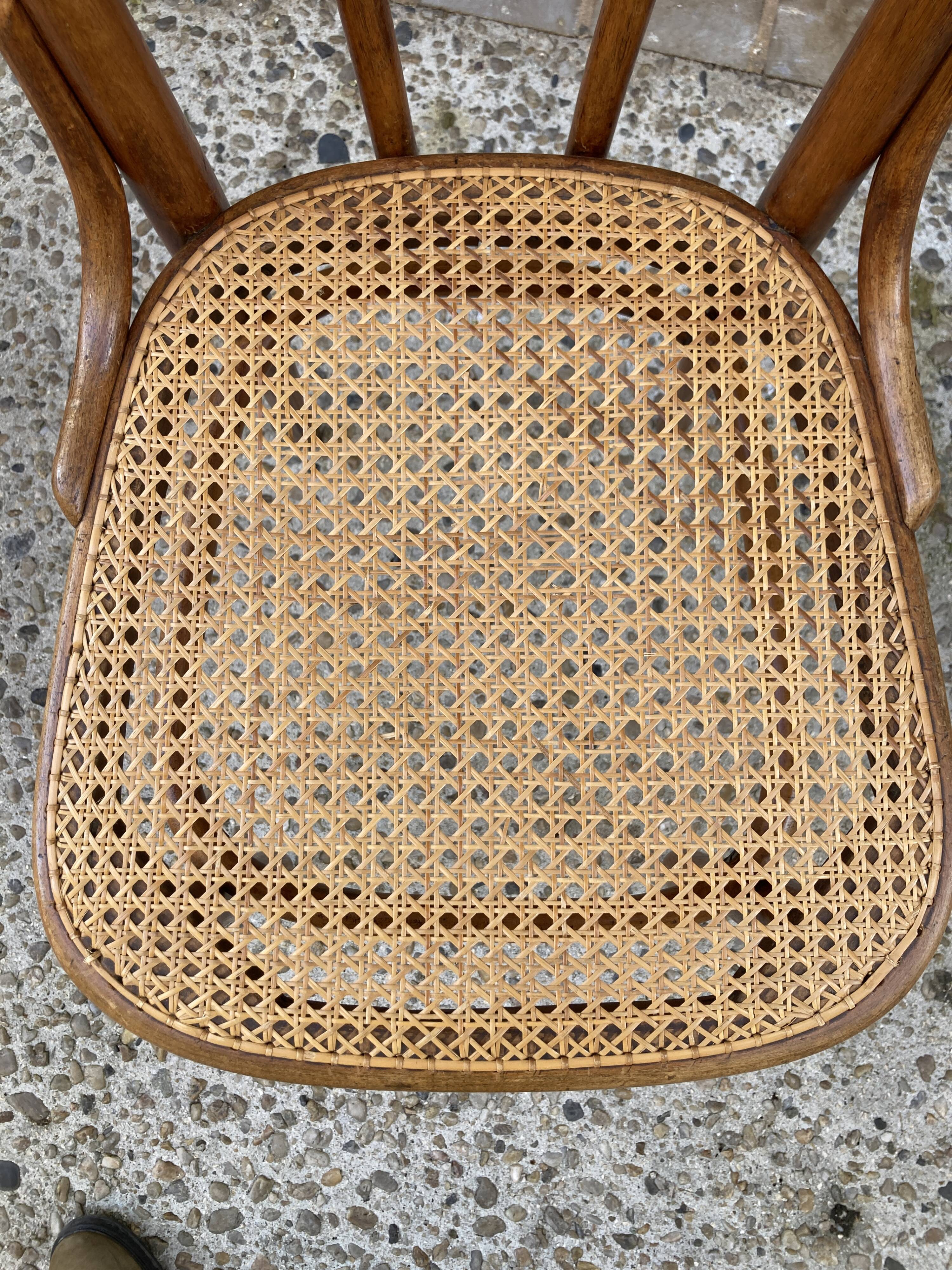 Thonet chair n°56