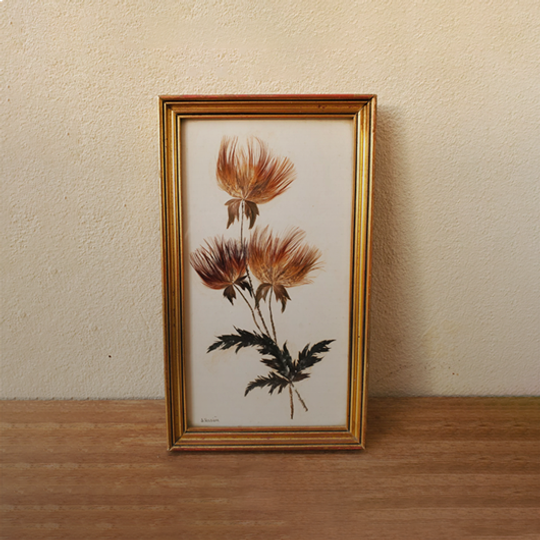 Herbaria