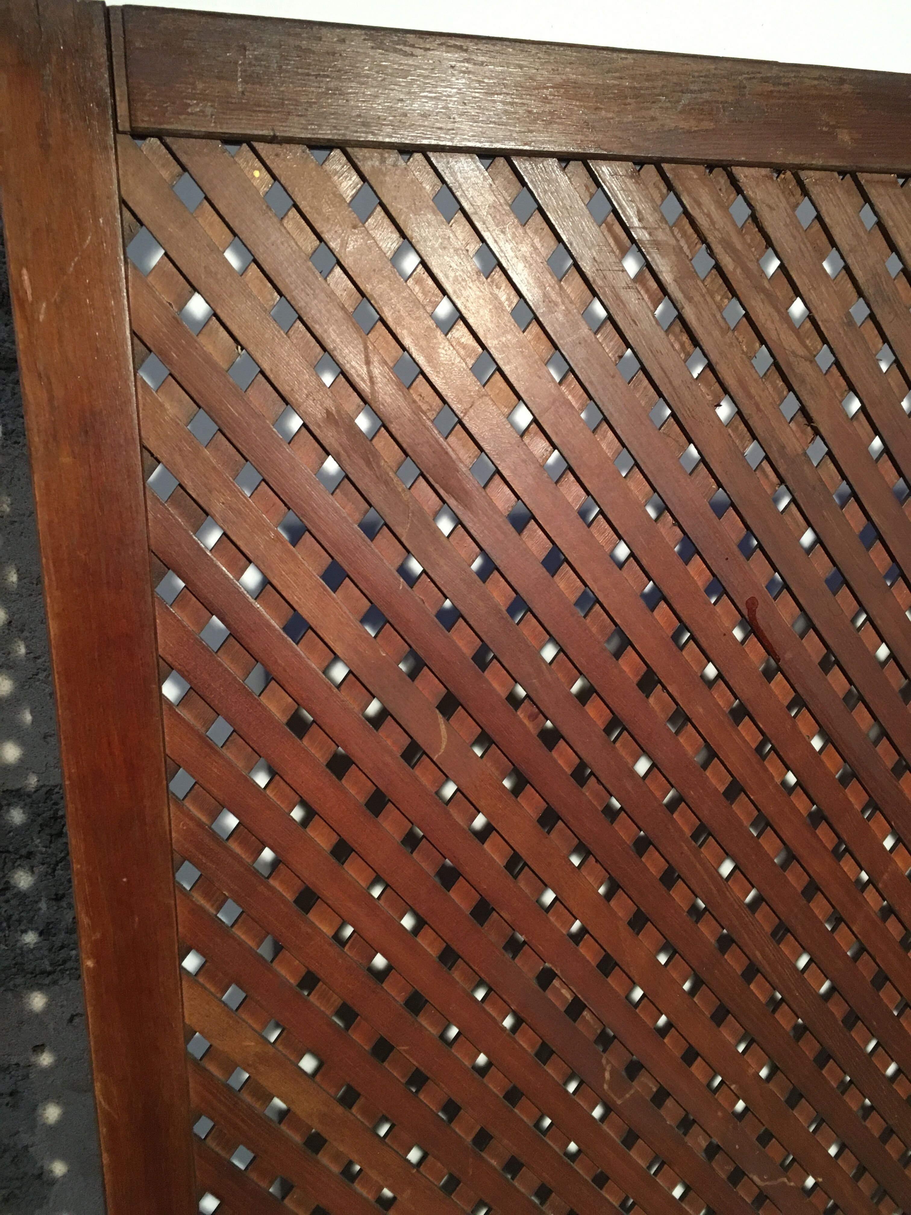 Beech screen