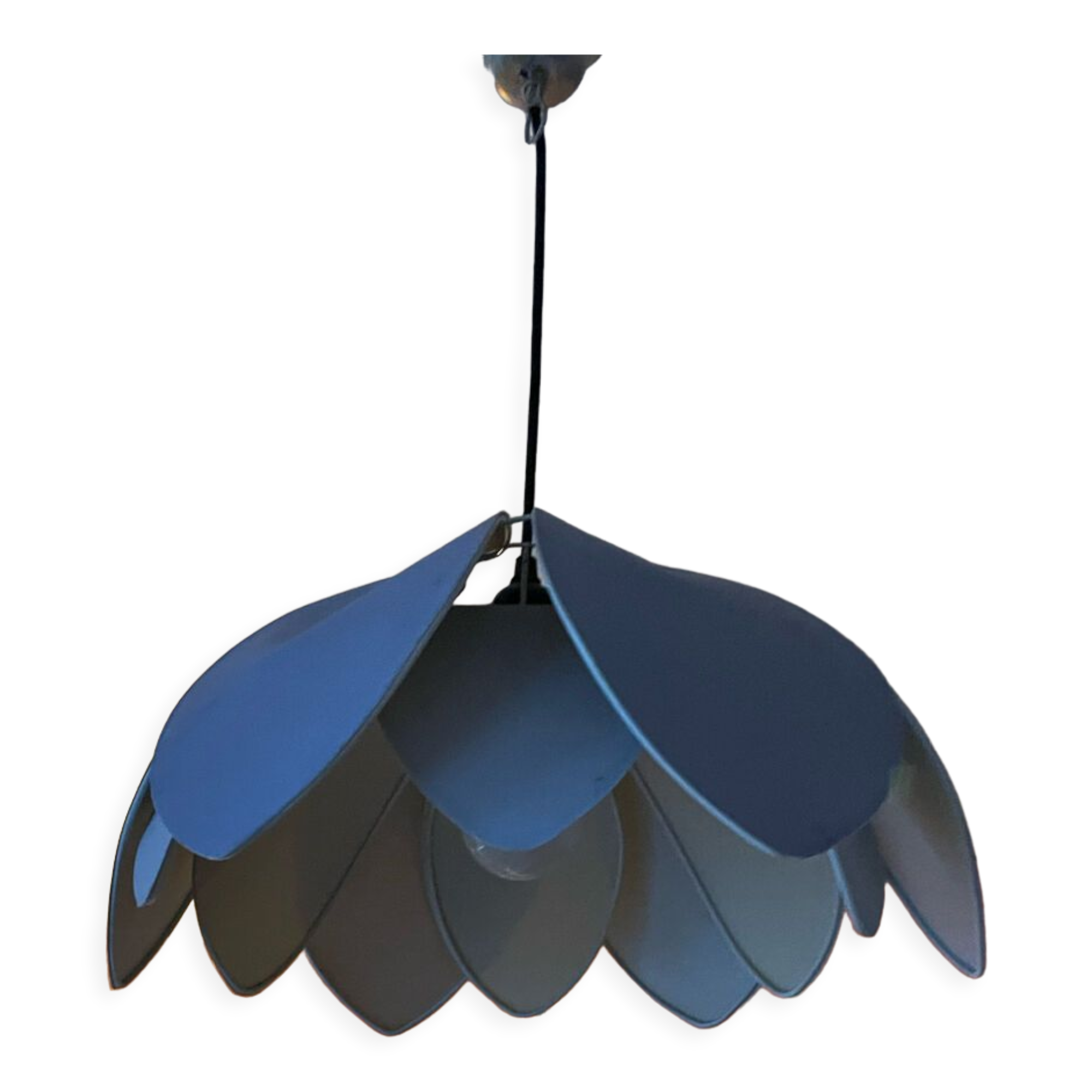Lotus suspension
