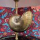 Shell lamp with gilded brass