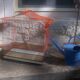 Old red metal birdcage
