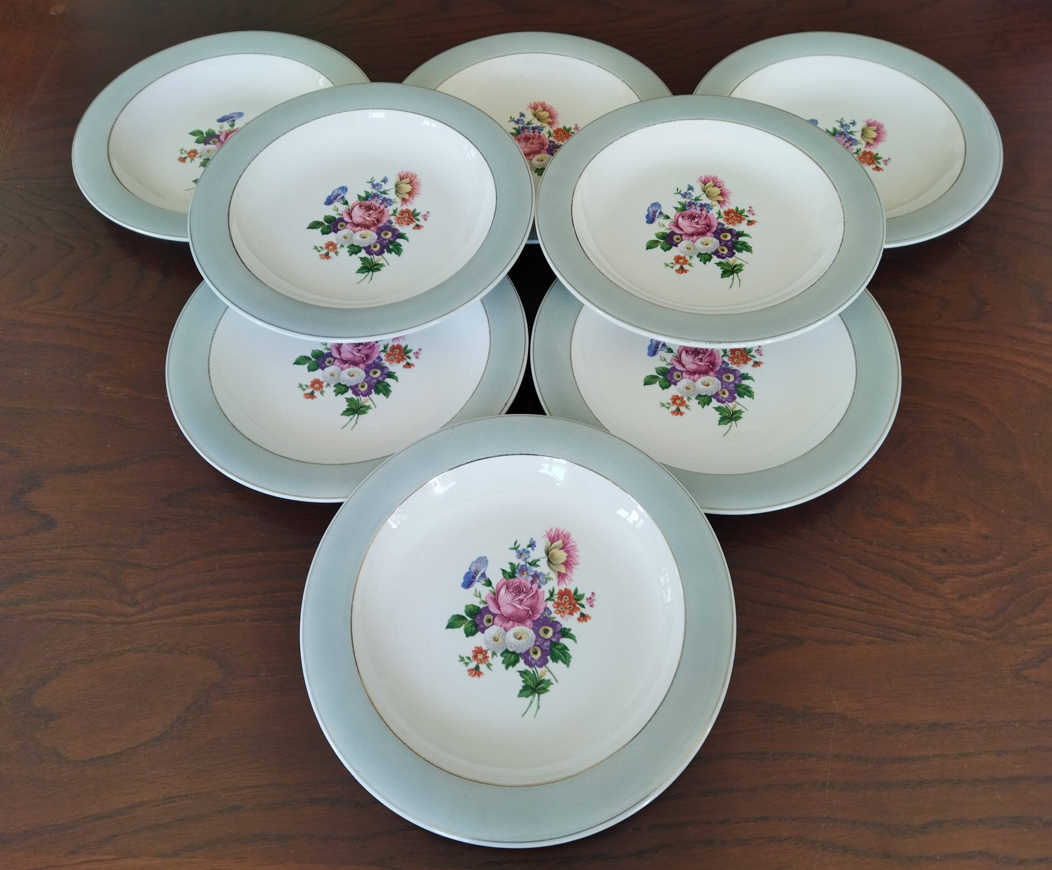 8 semi-deep plates Salins Opaceline 702