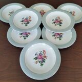 8 semi-deep plates Salins Opaceline 702