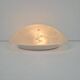 Vintage Ceiling Lamp in Frosted Glass from Peill & Putzler, 1960s