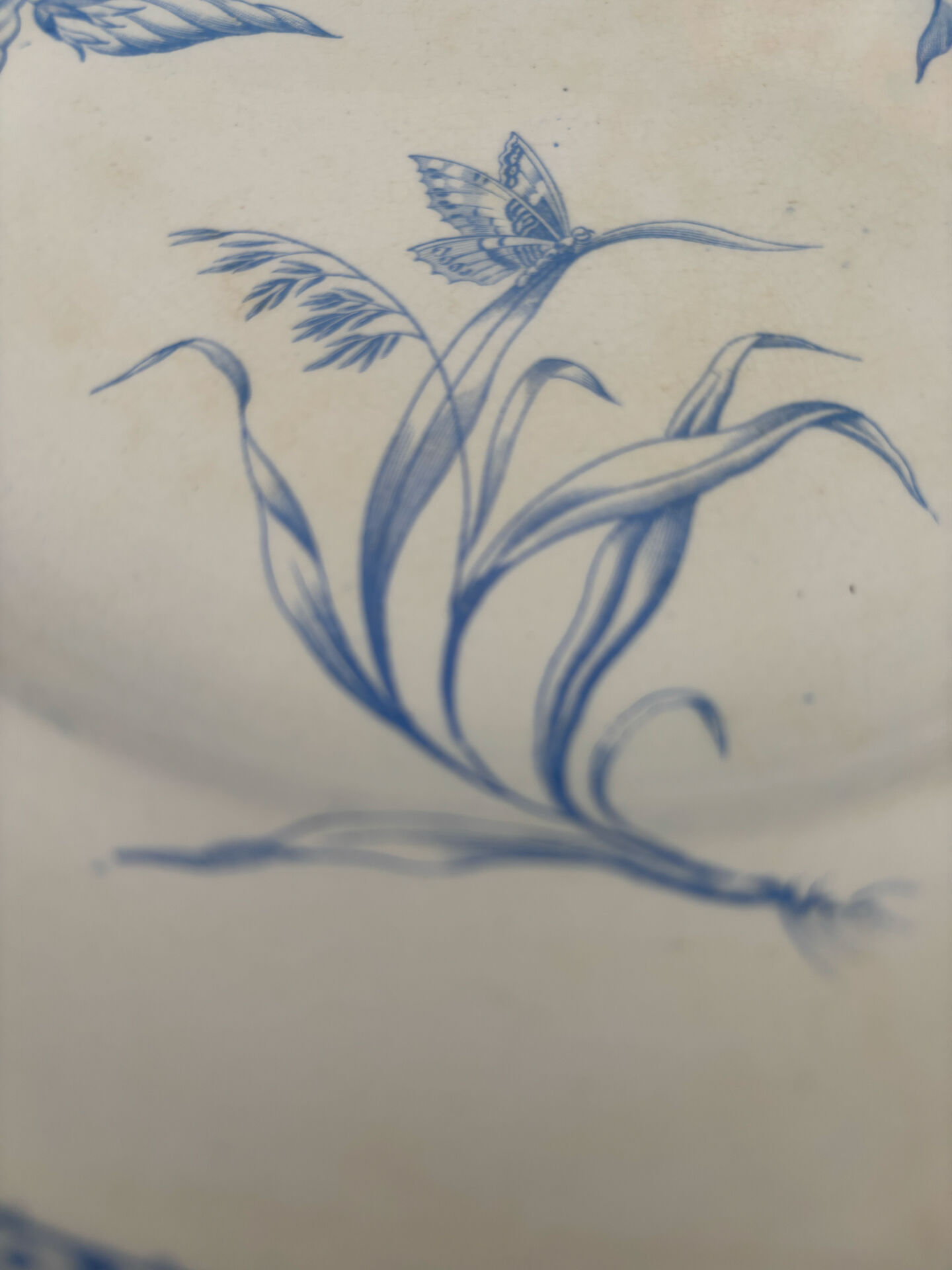 Old flat plate, light blue ironstone, HB Choisy-le-Roi model.