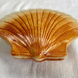 Terrine Caugant slurry scallops