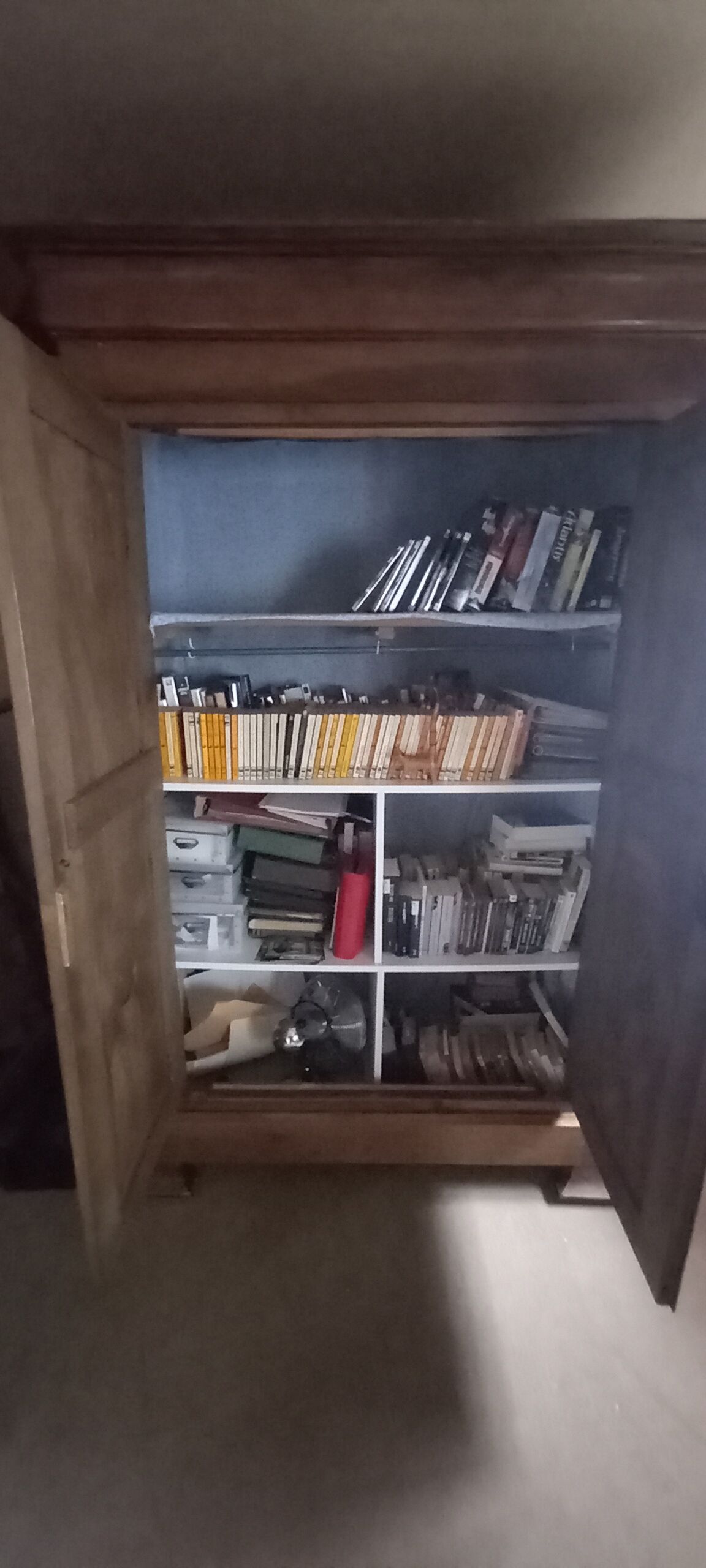 Louis Philippe style wardrobe