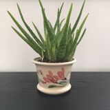 Orchid pot cover