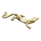 Lézard