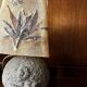 Pair of granite lamps with resin lampshades