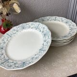 Ridgways 19th century English ironstone plates