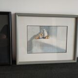Framed watercolors