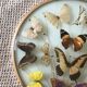 Vintage butterfly frame