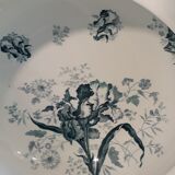 Plat Iris