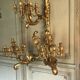 Pair of monumental wall light in golden wood
