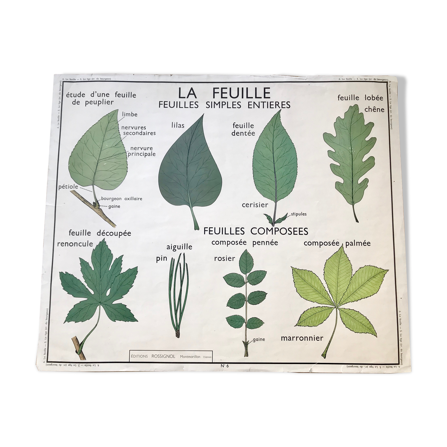 Rossignol pedagogical poster