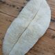 Corail blanc Fungia 24 cm