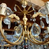 Grape variety chandelier