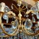 Grape variety chandelier