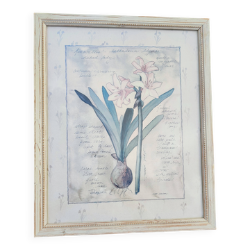 Botanical Decor Frame Illustration "Amaryllis" Carol Robinson