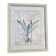Botanical Decor Frame Illustration "Amaryllis" Carol Robinson