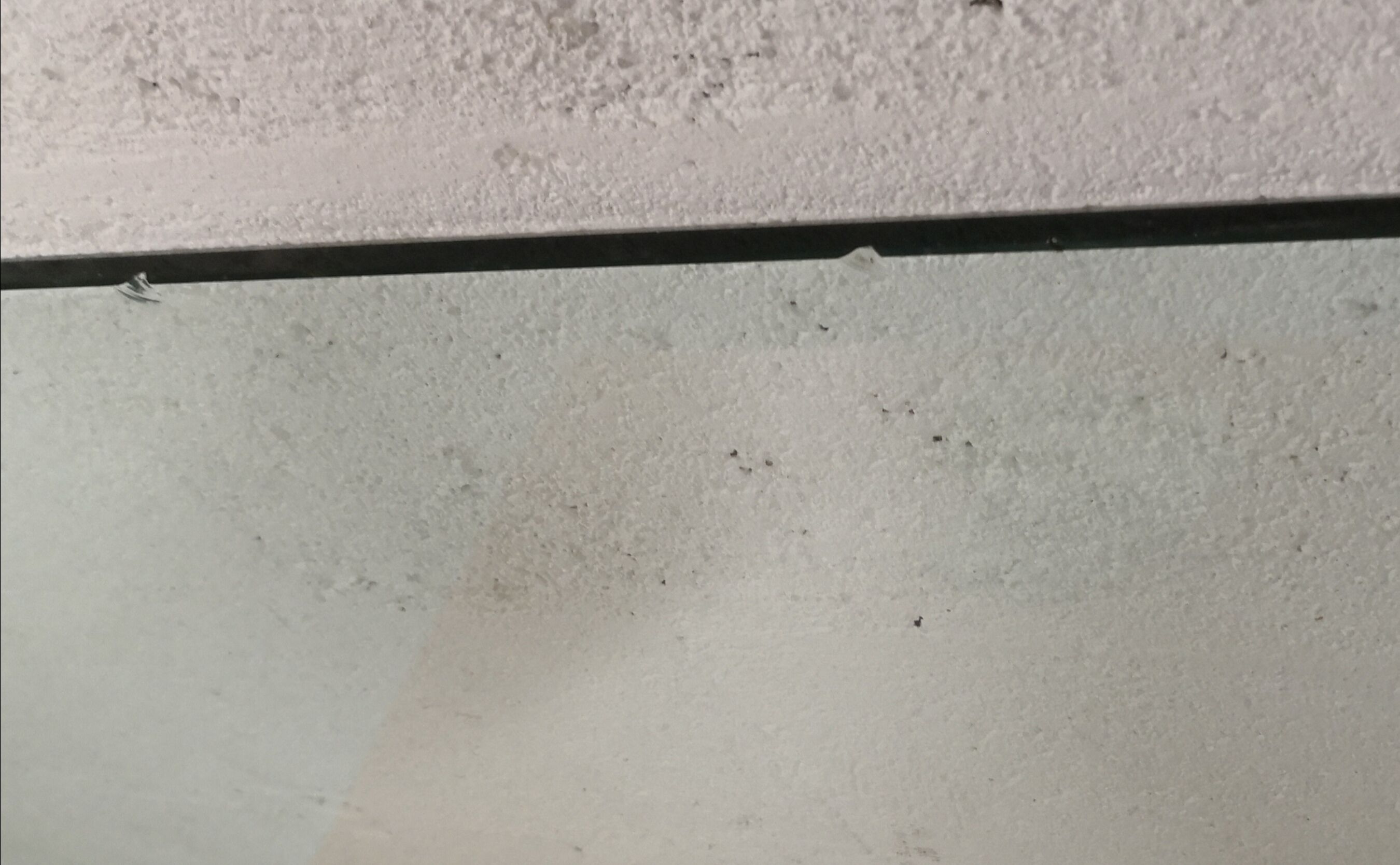 Monnet Francois coffee table 70