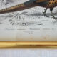5 framed antique bird engravings