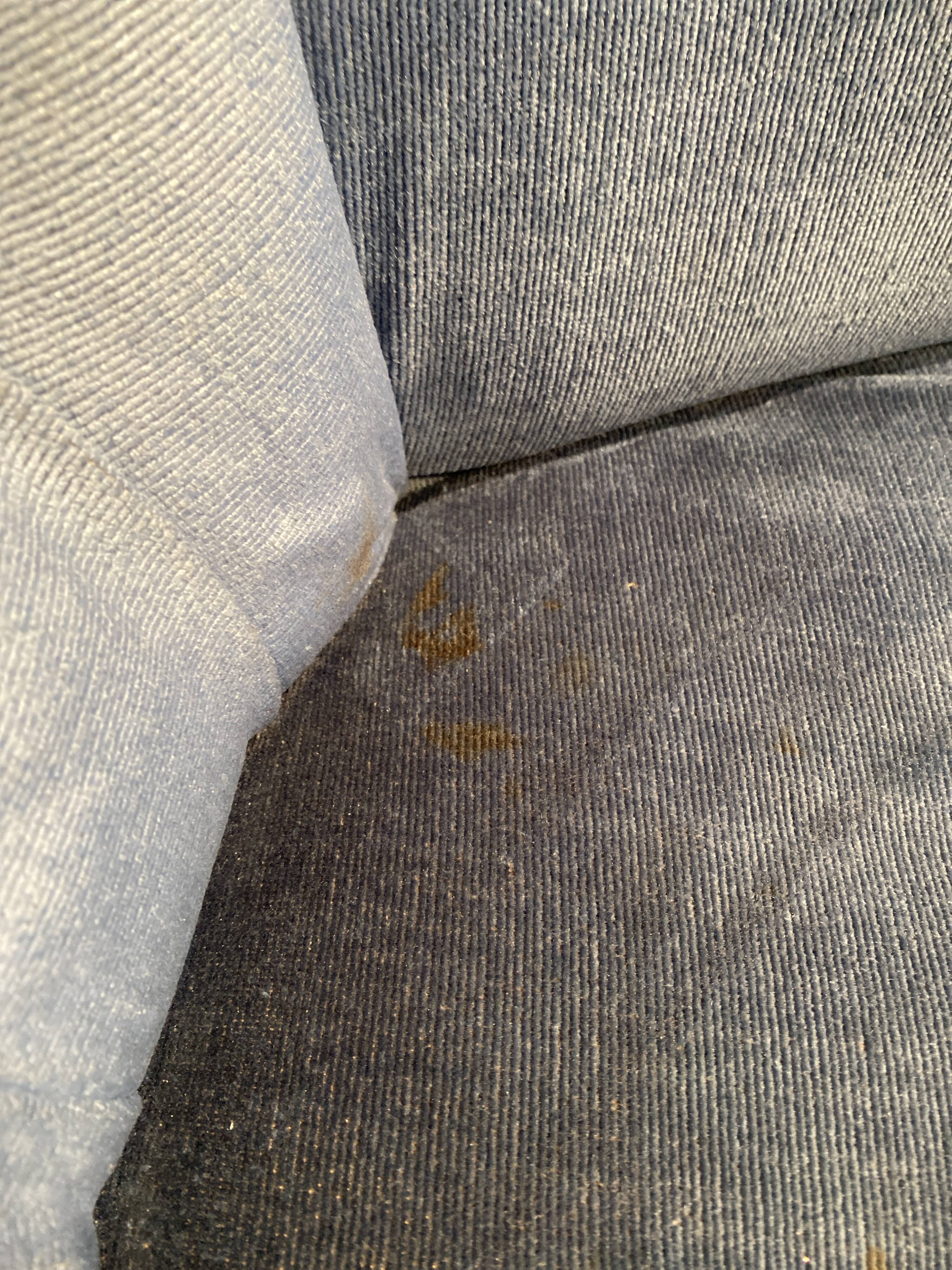 Pair of toad armchairs