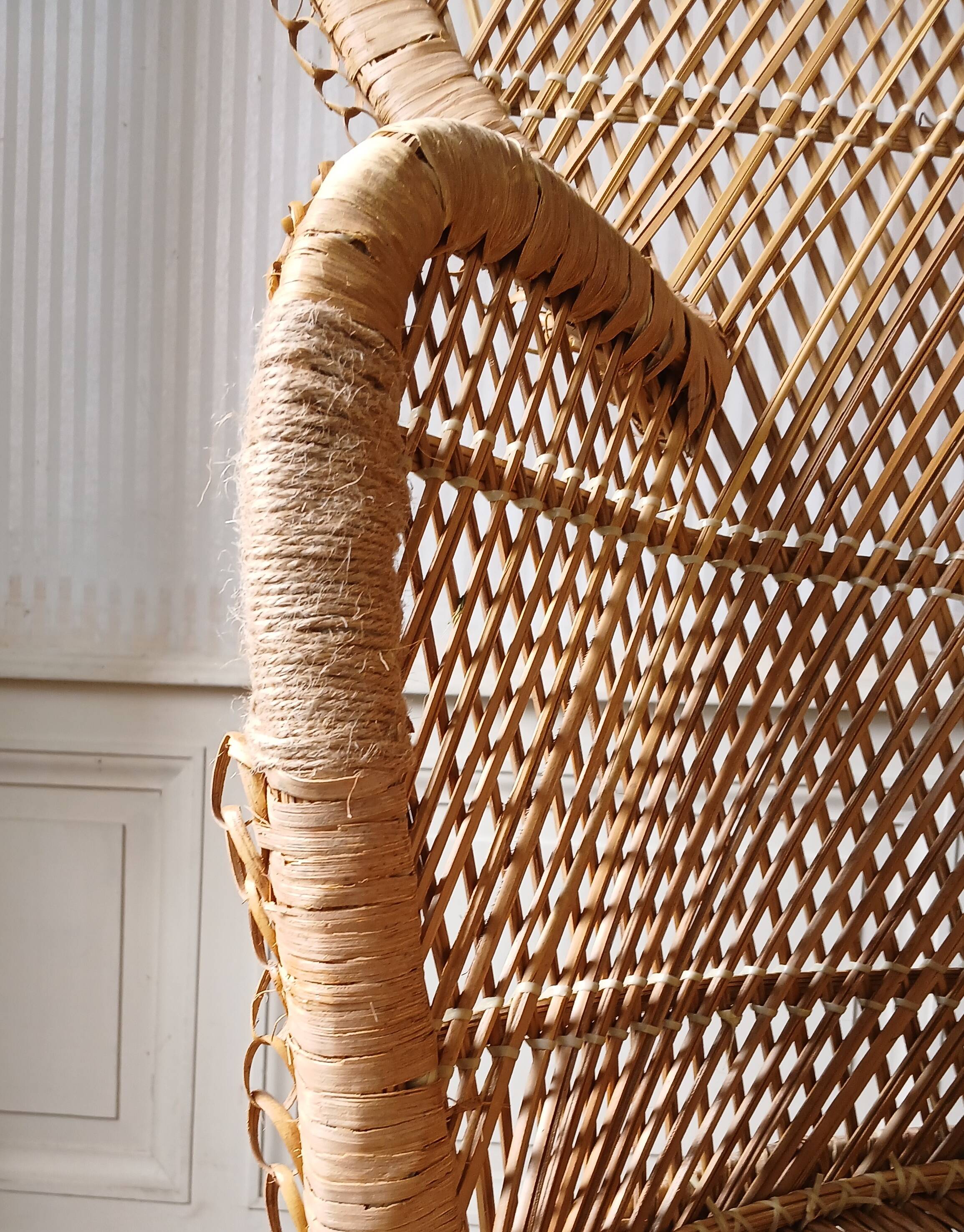 Emmanuelle Pomare adult armchair 1970