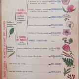 Old MDI school poster
