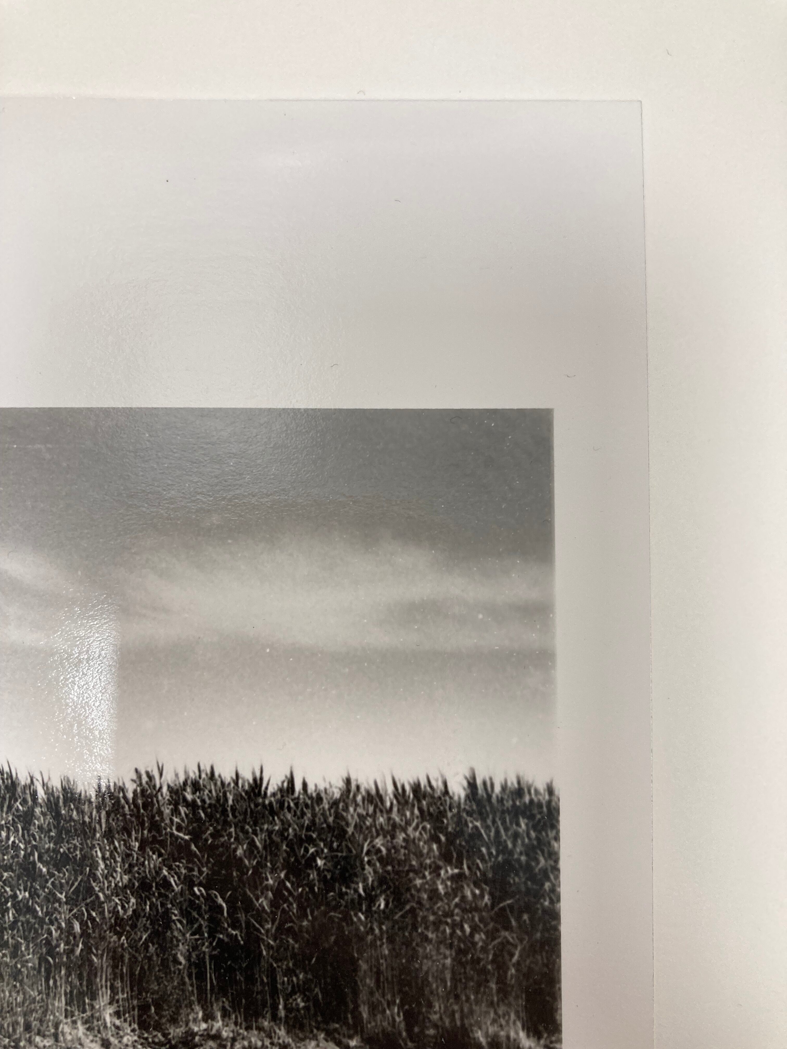 Film landscape photography